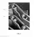 Fig. 07 - HIGH TEMPERATURE CONVEYOR BELT