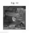 Fig. 20 - SiAlON ceramics and a method of preparation thereof