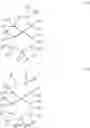 Fig. 20 - Anticancer miliusane lactams