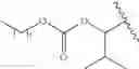 Fig. 1069 - Process for synthesizing oxidized lactam compounds