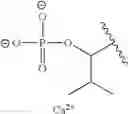 Fig. 232 - Process for synthesizing oxidized lactam compounds