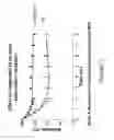 Fig. 02 - Sodium channel blockers