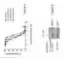 Fig. 09 - Piperazine derivatives for treating disorders