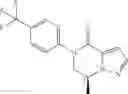 Fig. 19 - 6,7-dihydropyrazolo[1,5-α]pyrazin-4(5)-one compounds and their use as negative allosteric modulators of mGluR2 receptors