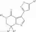 Fig. 67 - 6,7-dihydropyrazolo[1,5-α]pyrazin-4(5)-one compounds and their use as negative allosteric modulators of mGluR2 receptors