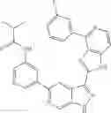 Fig. 16 - 3-(1H-imidazo[4,5-C]pyridin-2-yl)-1H-pyrazolo[3,4-C]pyridine and therapeutic uses thereof