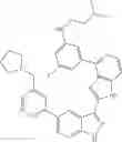 Fig. 463 - 3-(1H-imidazo[4,5-C]pyridin-2-yl)-1H-pyrazolo[3,4-C]pyridine and therapeutic uses thereof