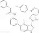 Fig. 511 - 3-(1H-imidazo[4,5-C]pyridin-2-yl)-1H-pyrazolo[3,4-C]pyridine and therapeutic uses thereof