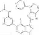 Fig. 591 - 3-(1H-imidazo[4,5-C]pyridin-2-yl)-1H-pyrazolo[3,4-C]pyridine and therapeutic uses thereof