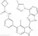 Fig. 677 - 3-(1H-imidazo[4,5-C]pyridin-2-yl)-1H-pyrazolo[3,4-C]pyridine and therapeutic uses thereof