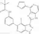 Fig. 769 - 3-(1H-imidazo[4,5-C]pyridin-2-yl)-1H-pyrazolo[3,4-C]pyridine and therapeutic uses thereof