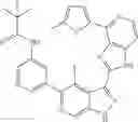 Fig. 847 - 3-(1H-imidazo[4,5-C]pyridin-2-yl)-1H-pyrazolo[3,4-C]pyridine and therapeutic uses thereof