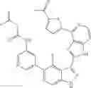 Fig. 867 - 3-(1H-imidazo[4,5-C]pyridin-2-yl)-1H-pyrazolo[3,4-C]pyridine and therapeutic uses thereof
