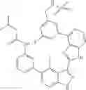Fig. 893 - 3-(1H-imidazo[4,5-C]pyridin-2-yl)-1H-pyrazolo[3,4-C]pyridine and therapeutic uses thereof