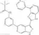 Fig. 93 - 3-(1H-imidazo[4,5-C]pyridin-2-yl)-1H-pyrazolo[3,4-C]pyridine and therapeutic uses thereof