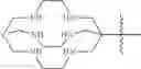 Fig. 44 - Nitrogen-containing macrocyclic conjugates as radiopharmaceuticals