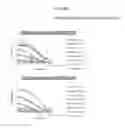 Fig. 45 - Broadly neutralizing HIV-1 VRC07 antibodies that bind to the CD4-binding site of the envelope protein