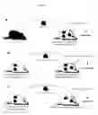Fig. 11 - PROLONGATION OF SURVIVAL OF AN ALLOGRAFT BY INHIBITING COMPLEMENT ACTIVITY