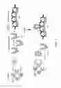 Fig. 02 - Methods for detecting 1,25-dihydroxyvitamin D and related antibodies