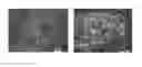 Fig. 01 - Anti-OX40 antibodies and methods of using the same