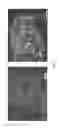 Fig. 02 - Anti-OX40 antibodies and methods of using the same