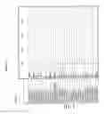 Fig. 07 - RSPO3 Binding Agents and Uses Thereof
