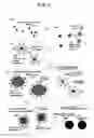Fig. 07 - METHOD OF MANUFACTURING POLYMER COATED FERROMAGNETIC PARTICLES