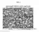 Fig. 02 - Spherical crystalline silica particles and method for producing same