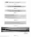 Fig. 09 - Methods and Devices to Control Fluid Volumes, Reagent and Particle Concentration in Arrays of Microfluidic Drops