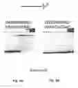 Fig. 19 - Polymerase compositions and uses