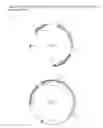 Fig. 02 - Polynucleotide for recombinant expression of sucrose isomerase