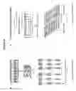 Fig. 16 - High-throughput assembly of genetic elements