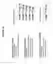 Fig. 19 - High-throughput assembly of genetic elements