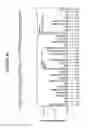 Fig. 47 - High-throughput assembly of genetic elements