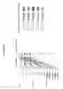 Fig. 49 - High-throughput assembly of genetic elements