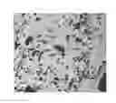 Fig. 01 - Methods and systems for grinding corn and making ethanol therefrom