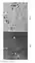 Fig. 03 - Methods and systems for grinding corn and making ethanol therefrom