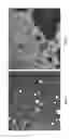 Fig. 04 - Methods and systems for grinding corn and making ethanol therefrom