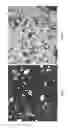 Fig. 05 - Methods and systems for grinding corn and making ethanol therefrom