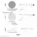 Fig. 02 - Assay for high-throughput identification of therapeutic compounds