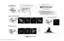 Fig. 02 - Genomic probes