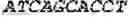 Fig. 24 - POLYMERASE-TEMPLATE COMPLEXES