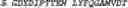 Fig. 45 - POLYMERASE-TEMPLATE COMPLEXES