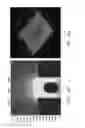 Fig. 12 - PH MEASUREMENT FOR SEQUENCING OF DNA