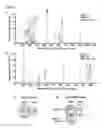 Fig. 02 - ERK1 and ERK2 mutations that confer resistance to MAPK pathway inhibitors