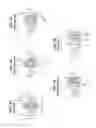 Fig. 04 - Vehicular shift apparatus