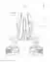 Fig. 02 - Assembly for blocking and enabling a shifting position of a shifting element