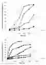 Fig. 04 - In vitro method and apparatus for analysing the behaviour of substances in simulated physiological environment