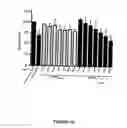 Fig. 22 - OmpA in vaccine compositions and as diagnostic targets