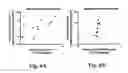 Fig. 07 - Levels of CXCL10/IP-10 forms and soluble CD26/DPPIV activity as early predictive biomarkers for HIV/SIV associated mucosal inflammation and progression towards AIDS